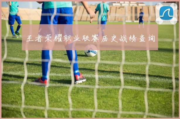 王者荣耀职业联赛历史战绩查询